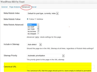 rel=canonical Mistakes That Will Cost You