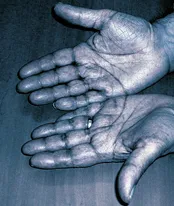 Content and Social Media