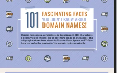 Domain Names: 101 Things You May Not Know