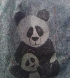 Low Quality Marketers in for Penguin Update