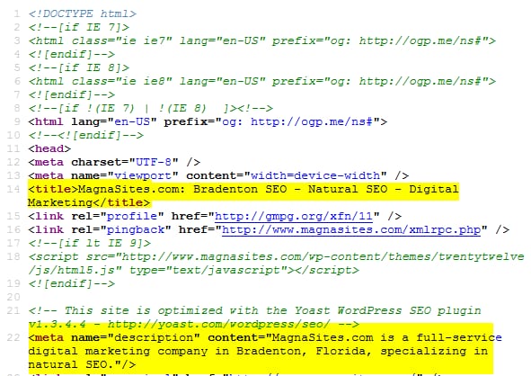 Meta data for MagnaSites.com