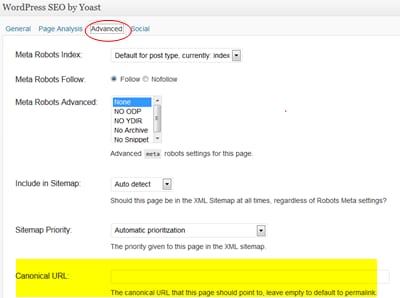 rel=canonical Mistakes That Will Cost You